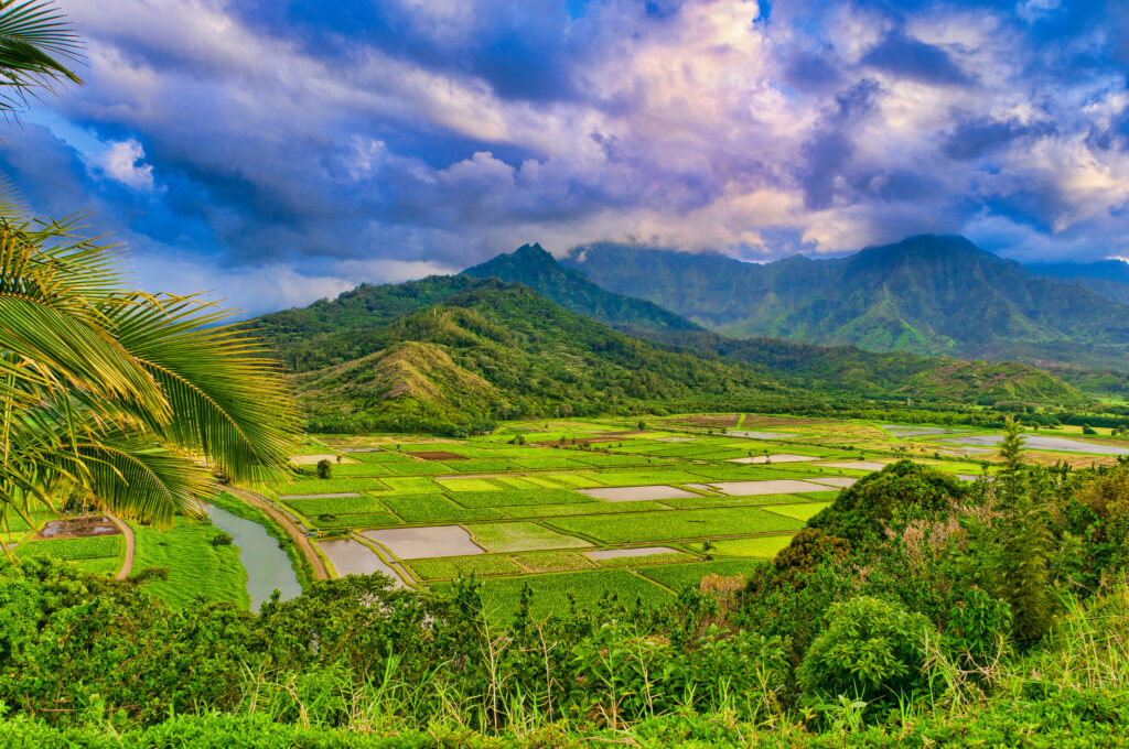 organic certification in Hawaii
