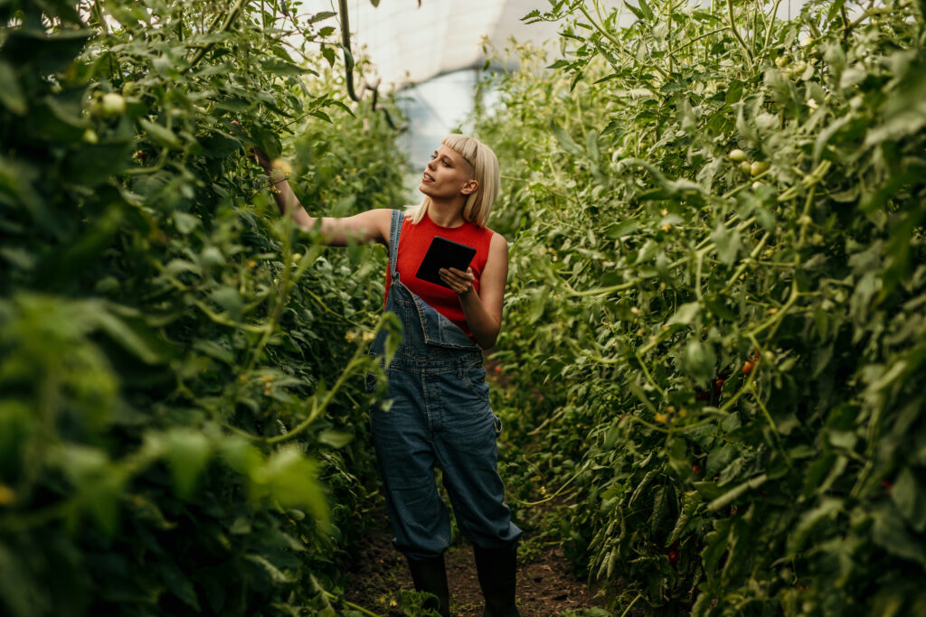 CCOF inspection billing rates