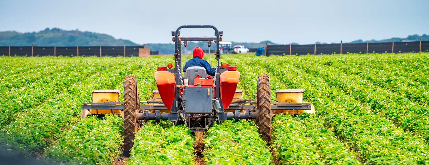 Call Your Reps by June 26 to Protect Investments in Resilient Food ...