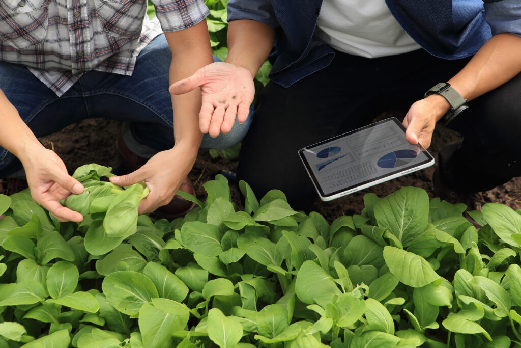 free farm business course