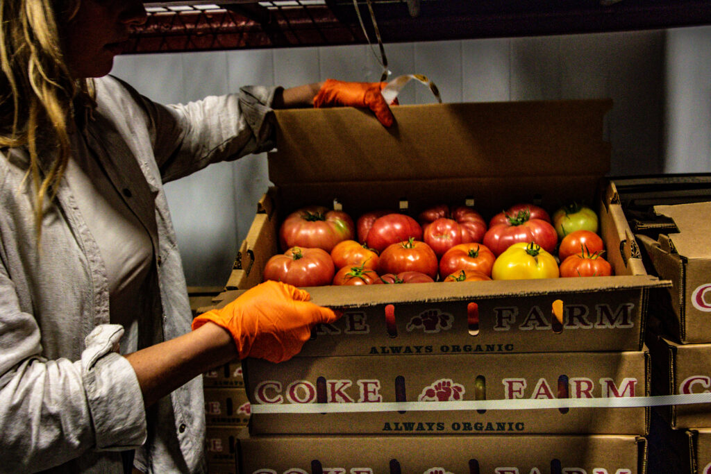 Worker with gloves handling a box of organic tomatoes in a warehouse, representing processors and handlers in the CCOF Member Directory