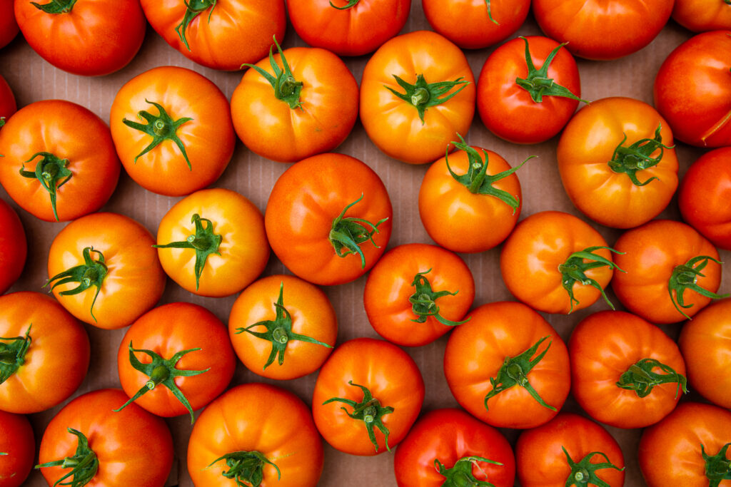 PrimusGFS 4.0 update training