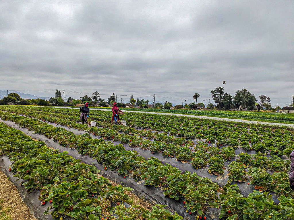 PrimusGFS Version 3.2 training