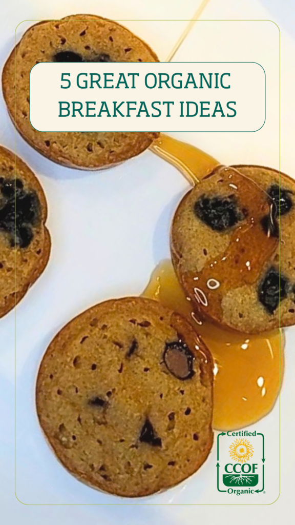 Organic breakfast ideas